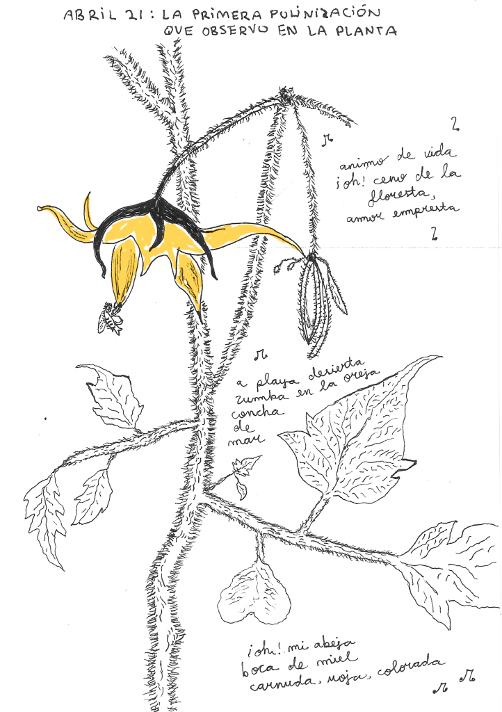 DiarioTomate_FullColor.14