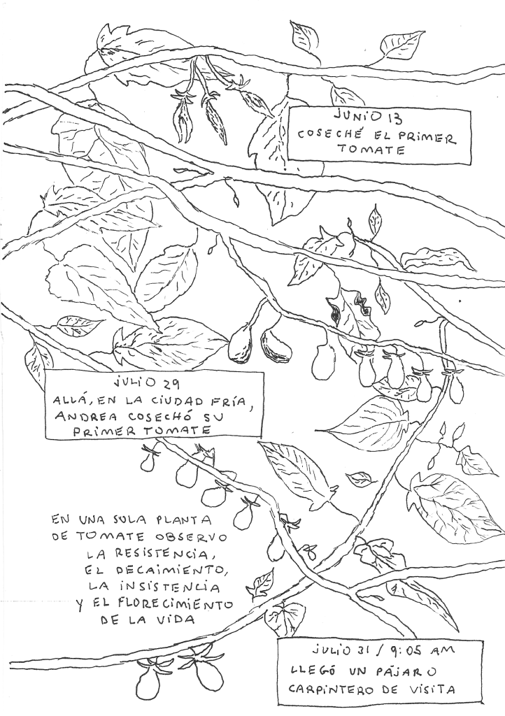 DiarioTomate_FullColor.19
